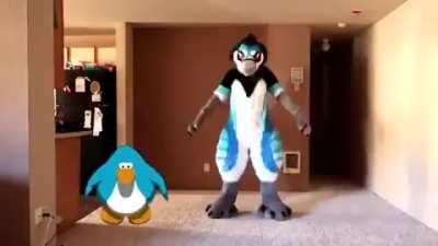 Penguin_irl