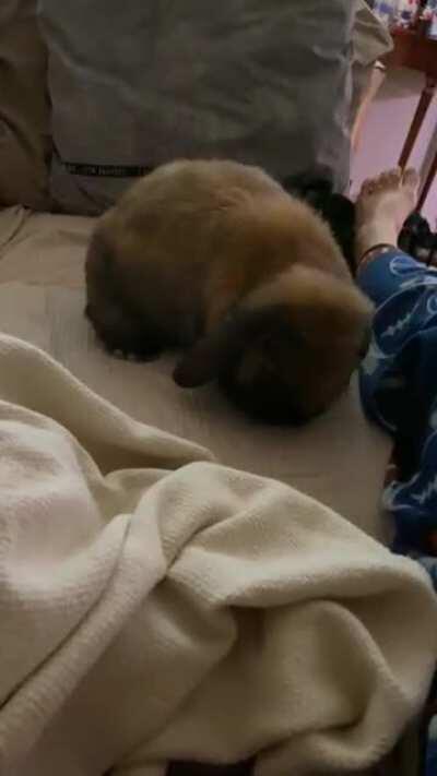 I love him so much 😆