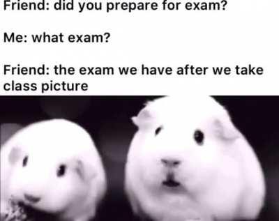Exam