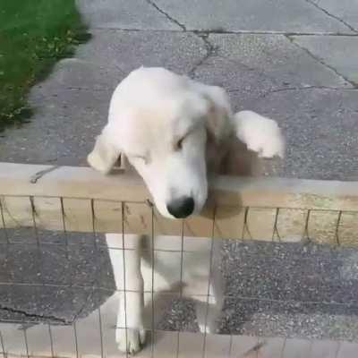 So happy to see you.