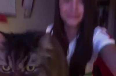 Maximino the Opera Cat