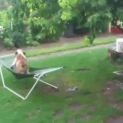 Everything is under control