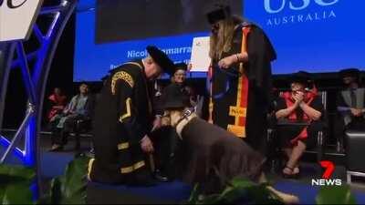 A legally blind woman and her guide dog both graduate from University