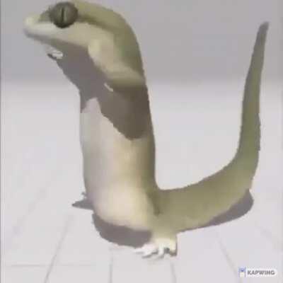 Me V I B I N to the boys