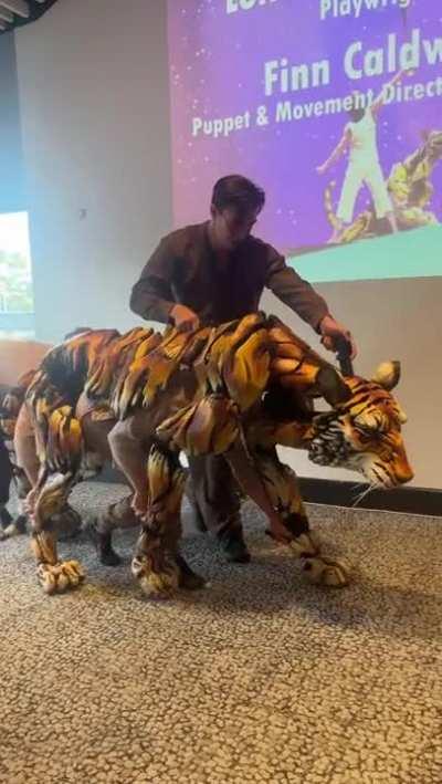 The coordination level