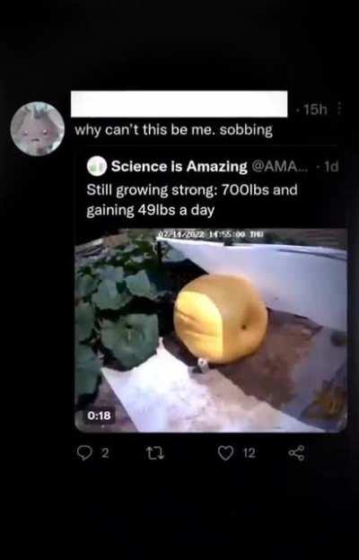 the twitter pumpkin incident