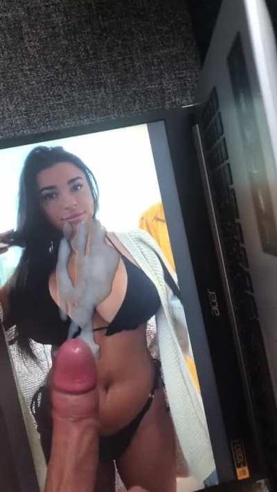 Big Tits GIF by pphardacc69