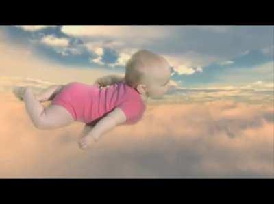 Haram gay send him to ISIS gorilla 🦍