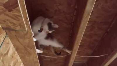 Your Friendly Neighborhood