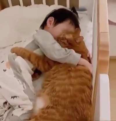 This is my life meow