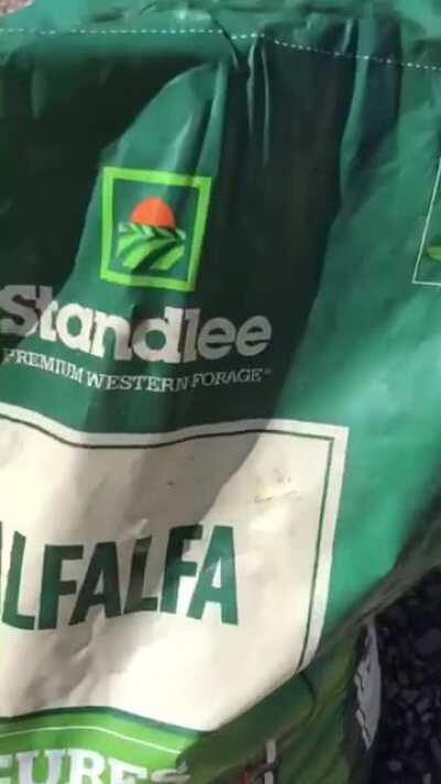 How To Make Fake Horse Manure