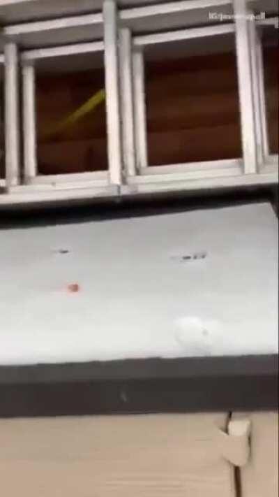 rindo mas com respeito