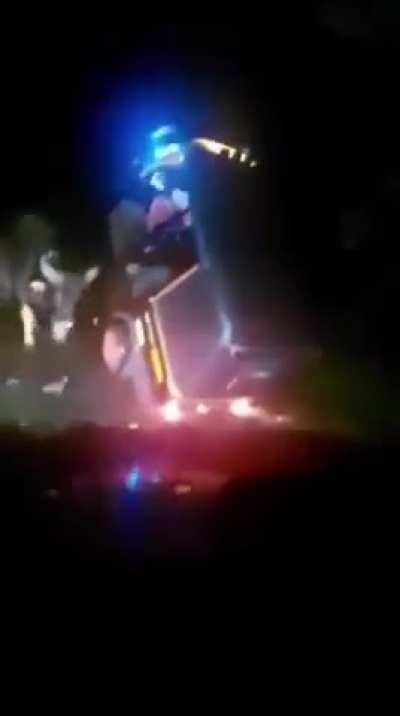 Absolute unit of a bison