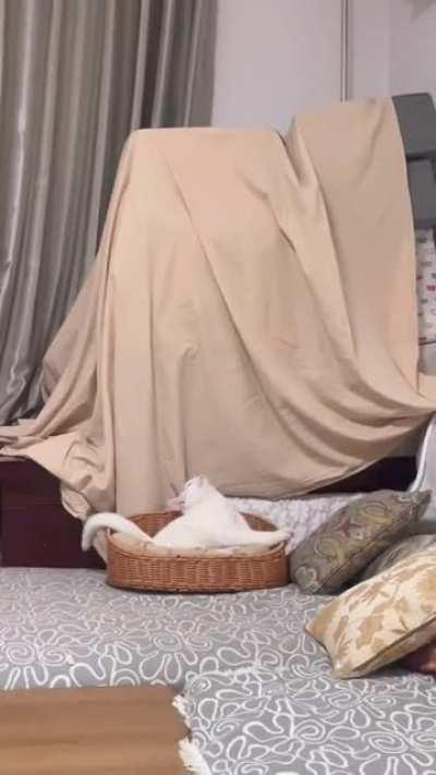 Hey what happened, whatever i must sleep