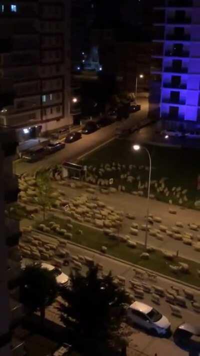 Como isso aconteceu?