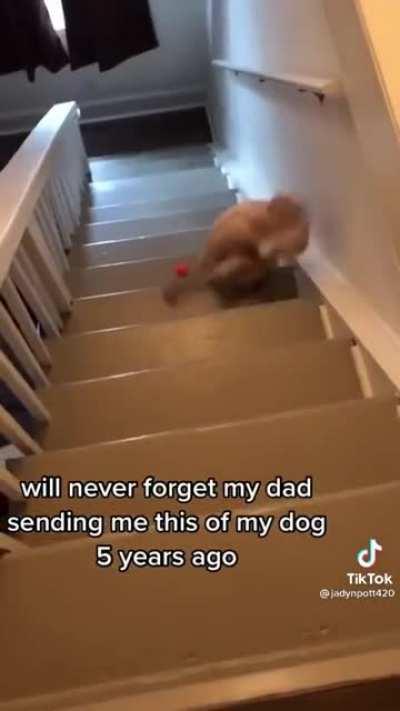 Father intentionally throws ball down the stairs and films it.