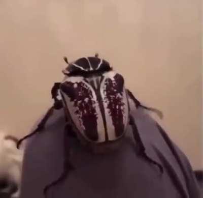 Неожиданно