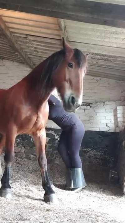 WCGW standing on a horse feed bucket