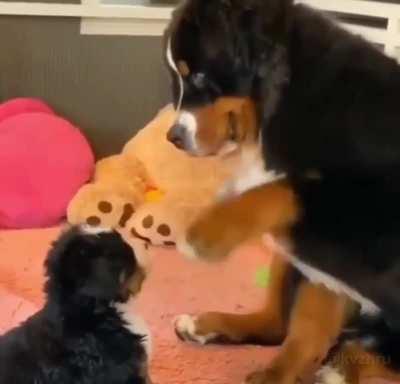 blessing and caressing