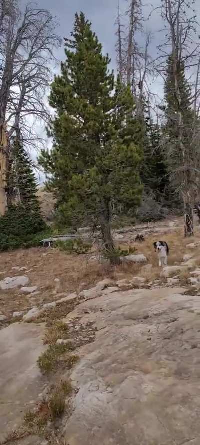 Exploring everything 😁