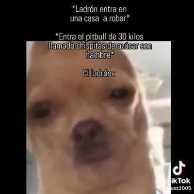 tranquilo princesa no muerde