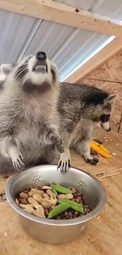 Bro doesn't want to share