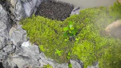 Little demo reel of constructing my tank!