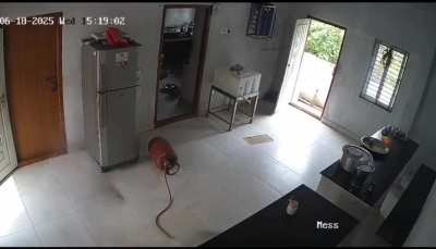 Gas leak suddenly ignites house