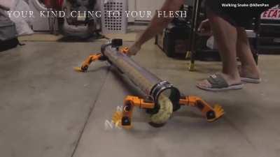 From the moment I understood the weakness of my flesh, it disgusted me