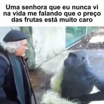 eu_nvr - Video #6057