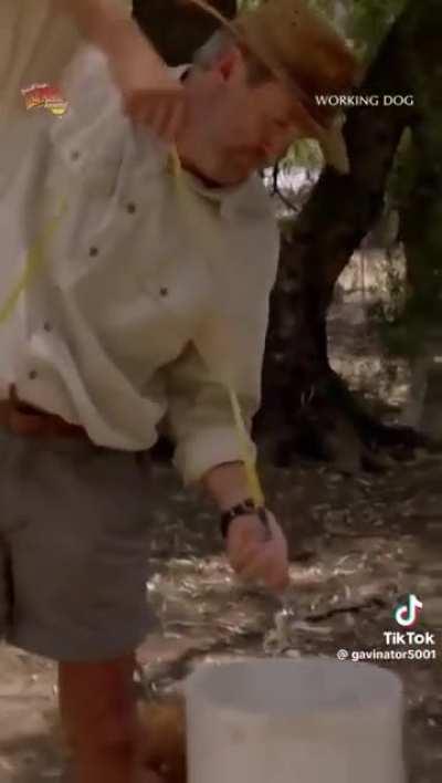 Casually checking the water depth