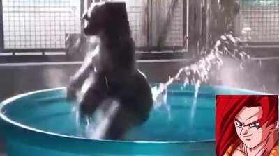 The Music of Dokkan Battle