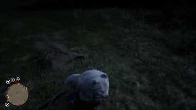 I'm being haunted due to hunting, this dead deer was not giving up! He really wanted to kill me lol