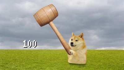 Doge turns into a toaster