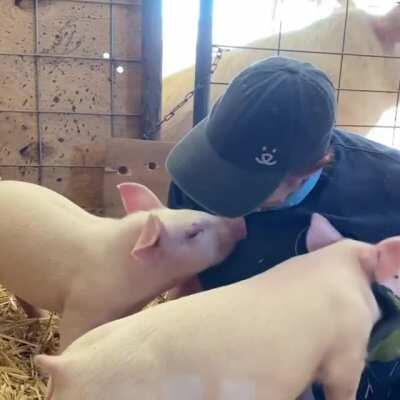 Volunteer Maggie enjoying some free time with these cuties at New Mexico Farm Sanctuary