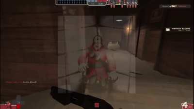 there was a sentry there, i am NOT insane