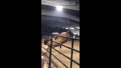 Mess with the bull, you get the misery