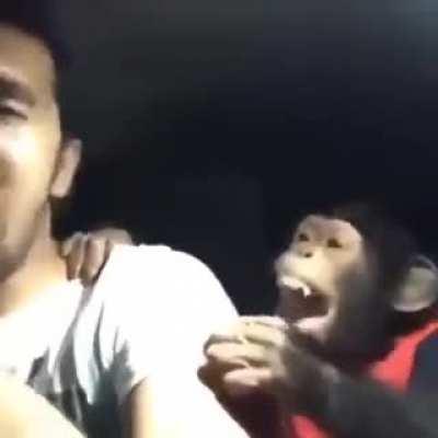 I want monke supremacy