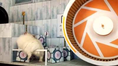 Another hamster escape mini world