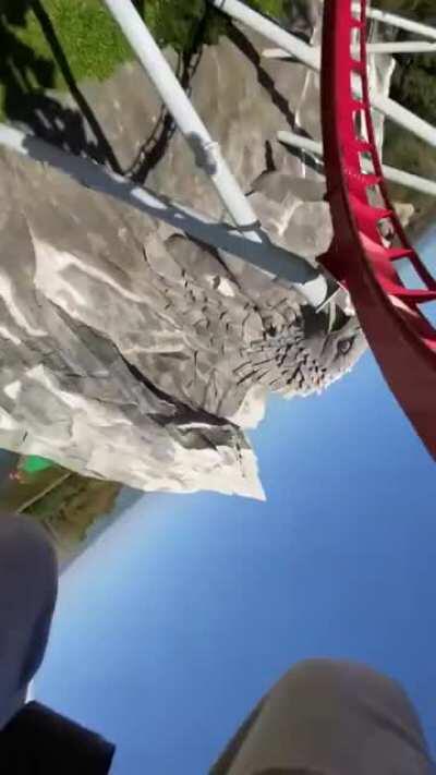 Chinese rollerocaster