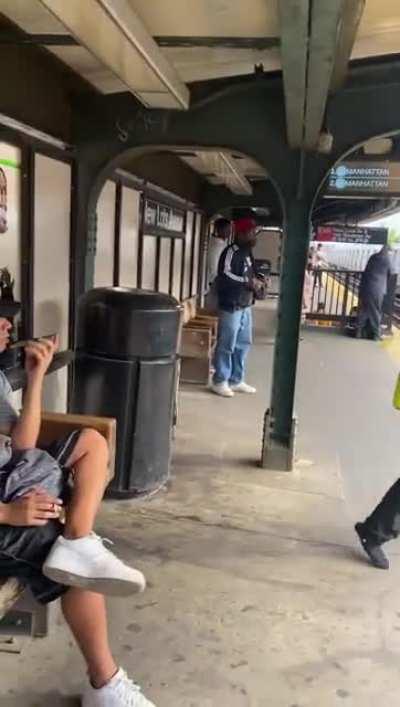 Your Friendly Neighborhood Arachnid Patrolling Our Subway System