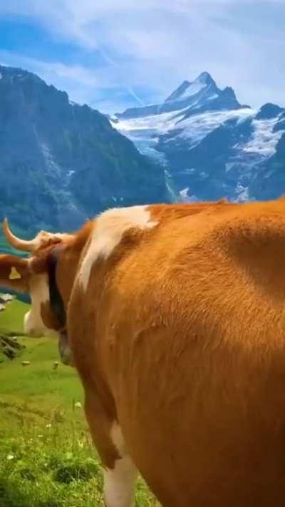 Beautiful Mountain View in Switzerland