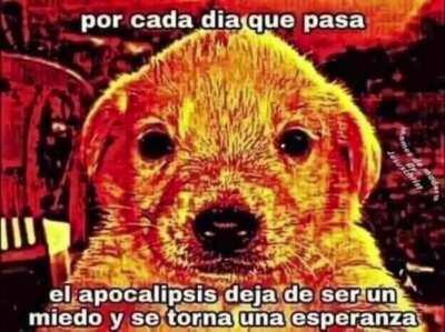 Average Orslok viewer