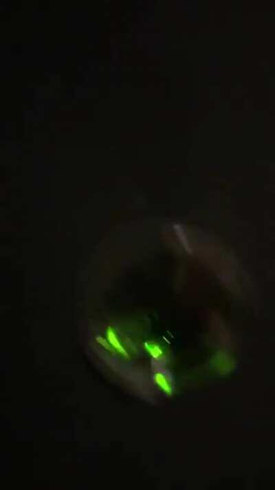 1 year old Goodman furnace, making a gurgling noise and not working, first time on for the season.