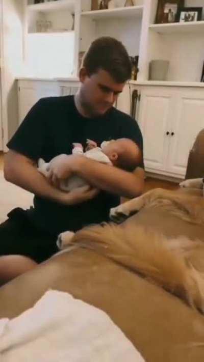 Let the expert take care of this