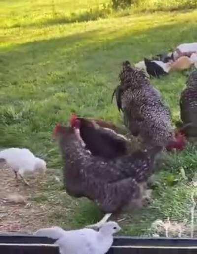 When your best isn’t good enough