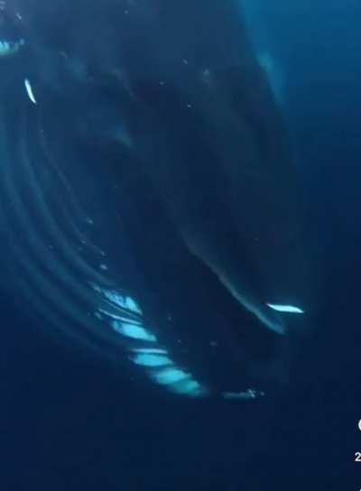 the levels of anxiety everytime he looks down