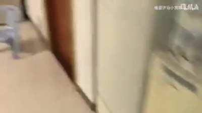 POV: You have a roommate that plays TNO