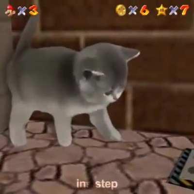 What is the kitty going to do caw caw
