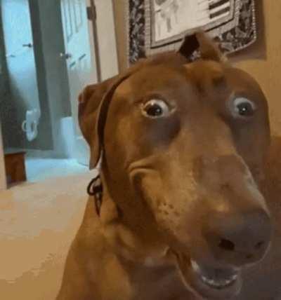 Enemy ADC as you give them an impromptu holiday